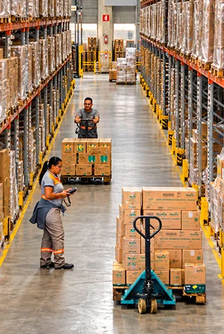 Segurança e Manuseio Especializado Segurança e Manuseio Especializado